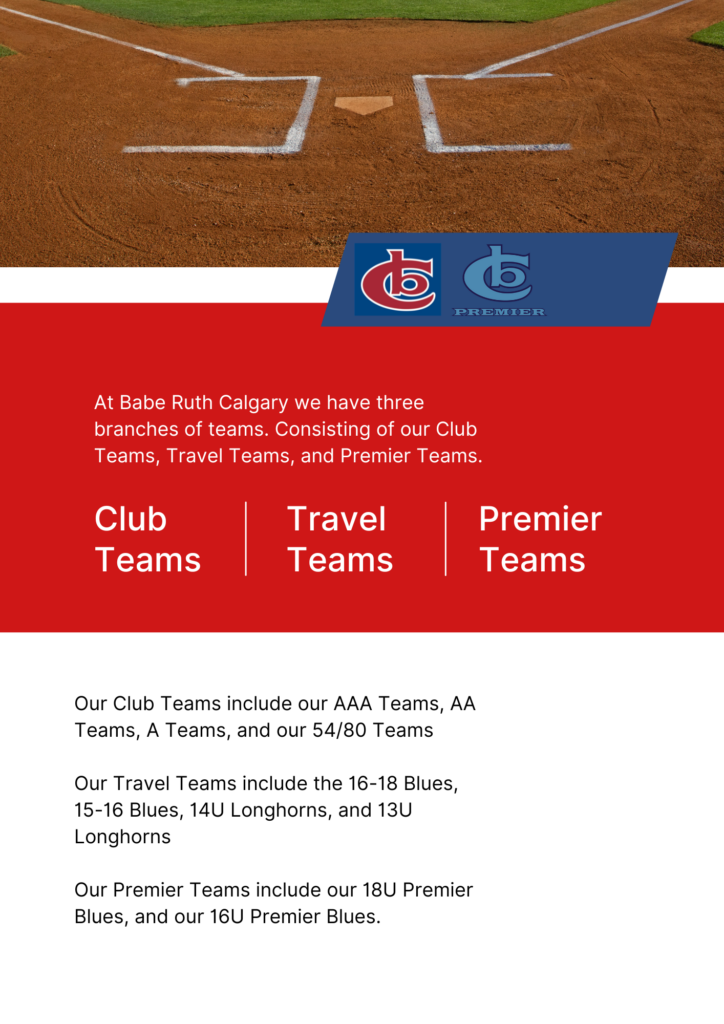 Babe Ruth Calgary Baseball League Structure Babe Ruth Calgary Baseball